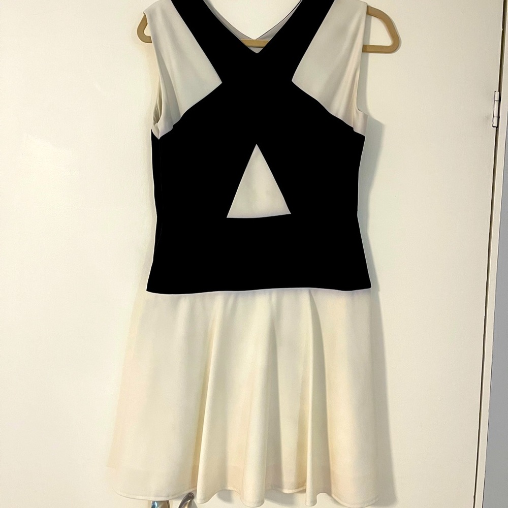 BCBG Black and White Dress